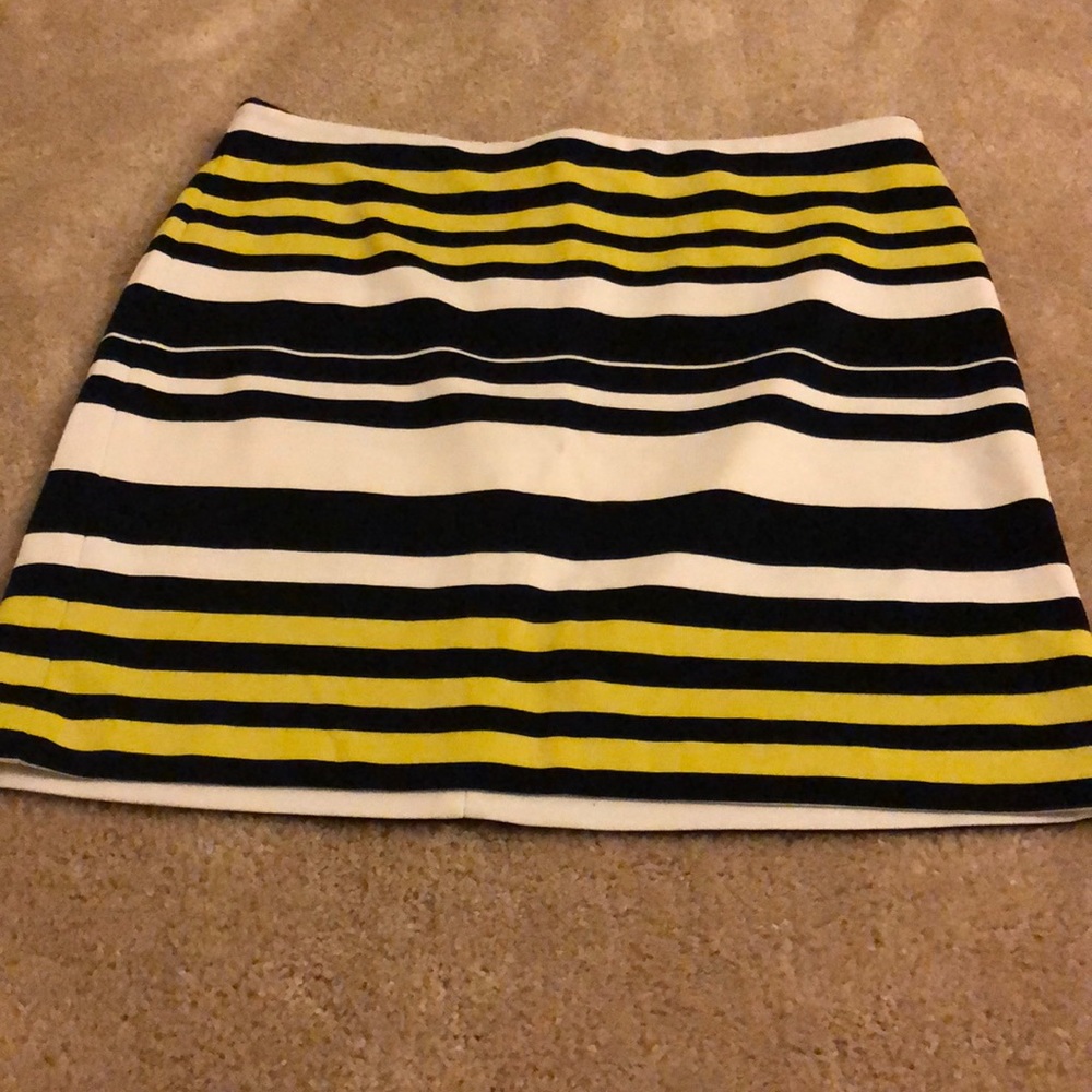 Ann Taylor Striped Skirt